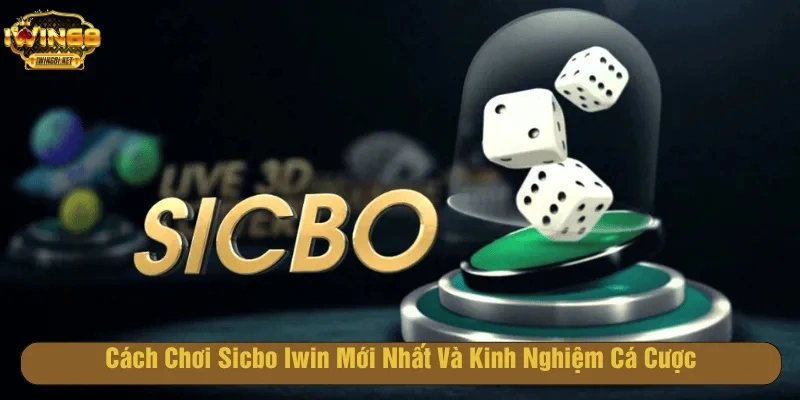 Hướng dẫn chơi sicbo tại Iwin68 dễ dàng
