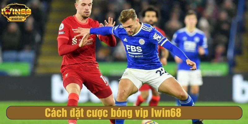 Cách đặt cược bóng vip Iwin68