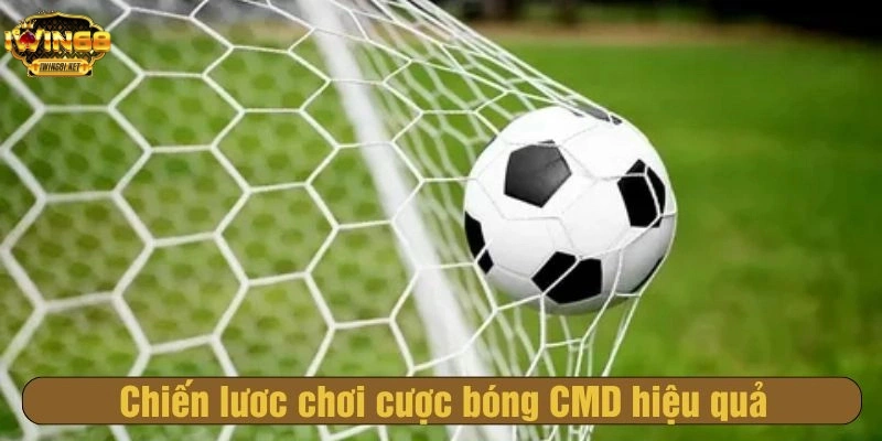 Chiến lược chơi cược bóng CMD hiệu quả