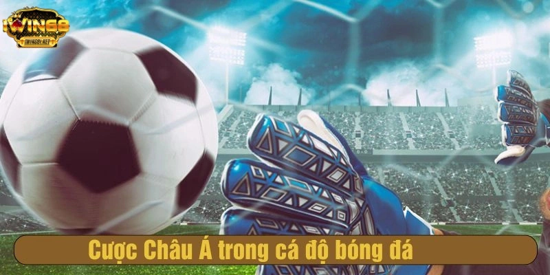 Cược Châu Á trong cá độ bóng đá
