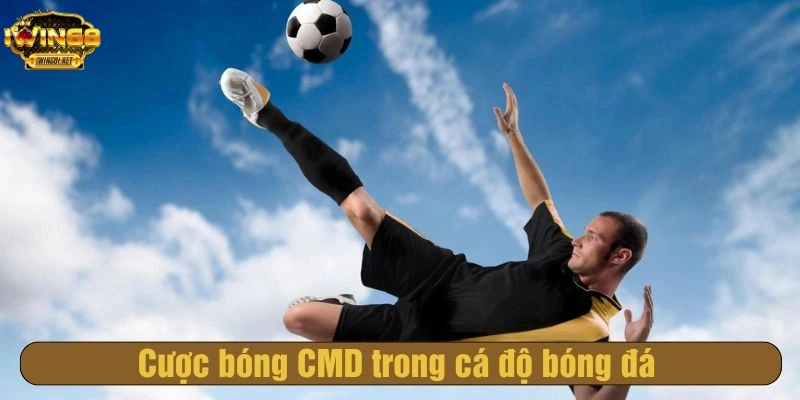 Cược bóng CMD trong cá độ bóng đá
