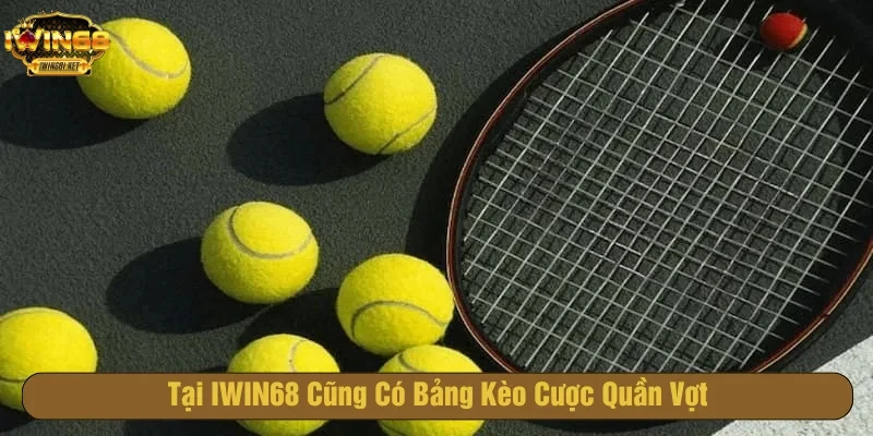 Cá cược quần vợt với nhiều giải đấu hấp dẫn tại IWIN68