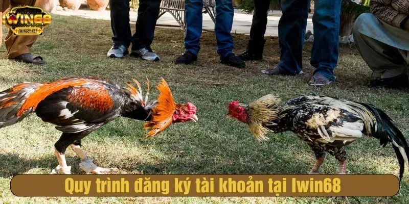 Quy trình đăng ký tài khoản tại Iwin68