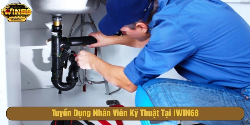 Tuyển dụng nhân viên hỗ trợ kỹ thuật và hệ thống